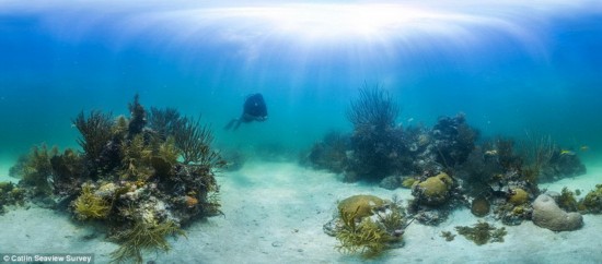 【环球旅游】海底探秘之旅!谷歌全新海景地图