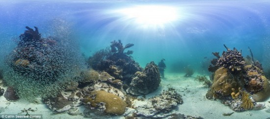 【环球旅游】海底探秘之旅!谷歌全新海景地图