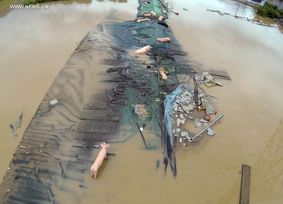 Rain-triggered flood hits China's Lishui City