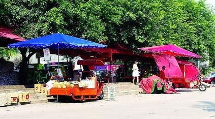 子用喇叭骂母亲 母子俩临摊卖水果互相杀价\/图