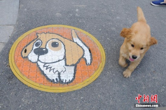ͼΪһֻС���ӡ����ǻ����Ծ����������緢 �信�� ��