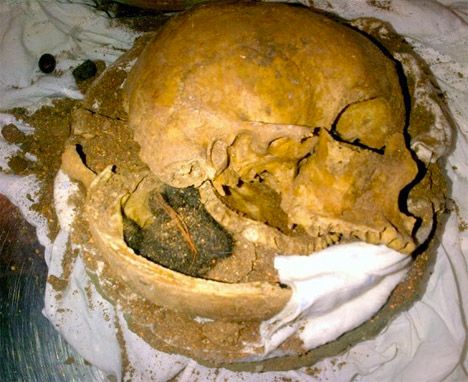 鸽子乌龟热带鱼 那些被机场查抄的奇怪物品