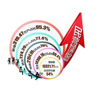 民营经济GDP占比的数据_2017年民间投资与民营经济发展重要数据图示(3)
