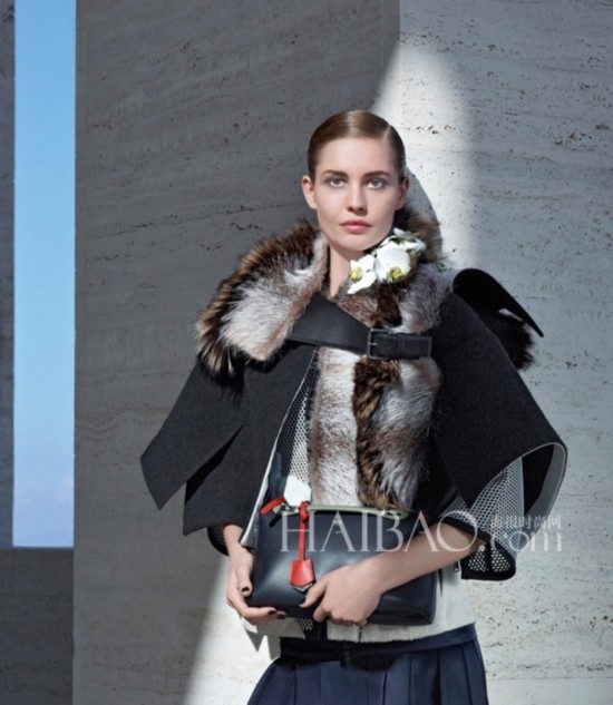 ��} (Fendi) 2014��V�t���t�C�s�i�j��