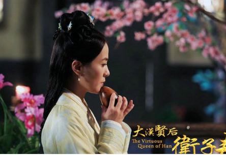 大汉贤后卫子夫电视剧全集分集剧情(1-47集大