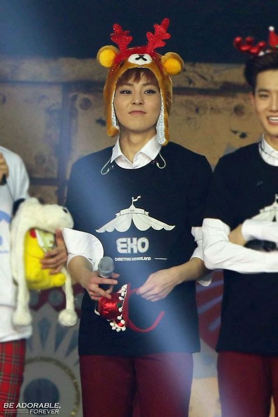 吴亦凡偷偷去exo演唱会图片