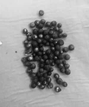 кģ¶Ƭǹ ½Ƕ沿