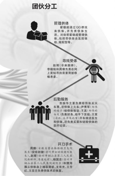 贩肾51枚涉案超千万15人获刑