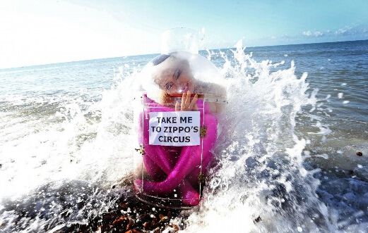 英女郎用柔术将自己装进漂流瓶 网友惊叹髋骨