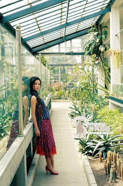 杨幂刘诗诗张柏芝赵丽颖 当红女星身价揭秘【