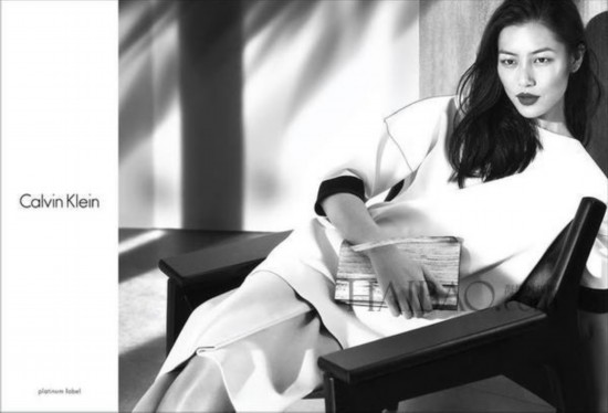 йģ (Liu Wen) Calvin Klein Platinum Label 2014ĹƬ