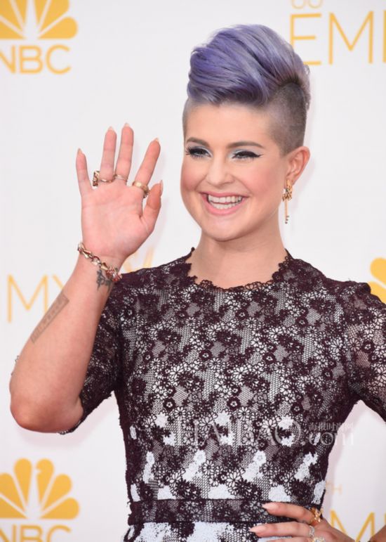 �{ģ2014�~��66�������(Emmy Awards)�{��§���P����]�_�Ӹ`
