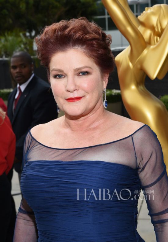 �{ģ2014�~��66�������(Emmy Awards)�{��§���P����]�_�Ӹ`