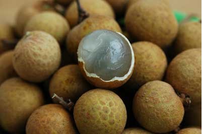 饮食养生：6大补血食物 女性常食气色好