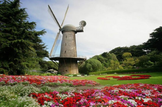 美国调查公司评荷兰居同性恋宜居国家首位