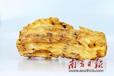 ݸ骡