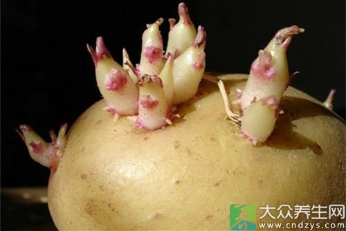 三种食物发芽后毒似砒霜(1)
