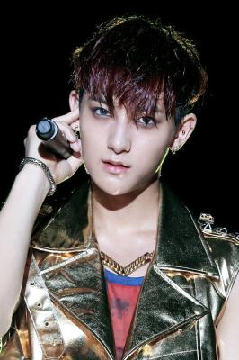 宋茜EXO吴亦凡鹿晗黄子韬 在韩发展的中国艺