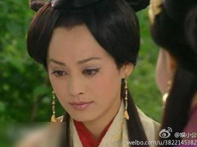 卫子夫短剧版，历史与戏剧的交织