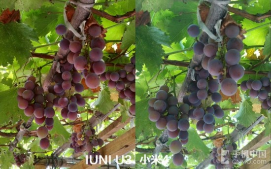 p̦AJPĤ IUNI U3p4 
