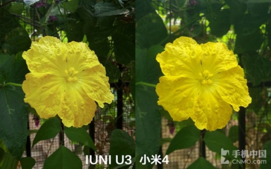 p̦AJPĤ IUNI U3p4 
