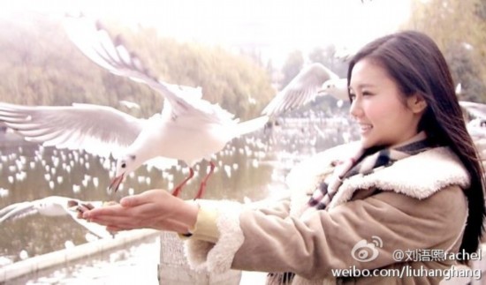 刘语熙组图即将v组图晒美照请新书挑封面(网友系列小学生表情包图片