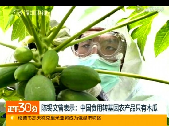 海南现转基因作物滥种 崔永元称农业部别装聋