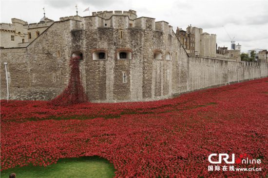 一战百年纪念:英国伦敦塔铺满陶瓷罂粟【组图