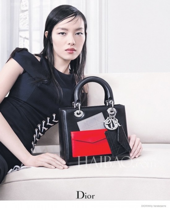 ϰ (Dior) 2014ﶬϵйƬģأǡŵ˹ (Julia Nobis) Ʒ (Sun Fei Fei)ӰʦWilly Vanderperre