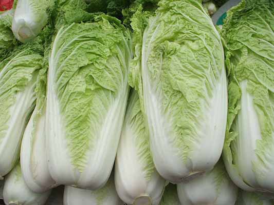 养生警惕：青西红柿烂生姜 14种食物吃错送命
