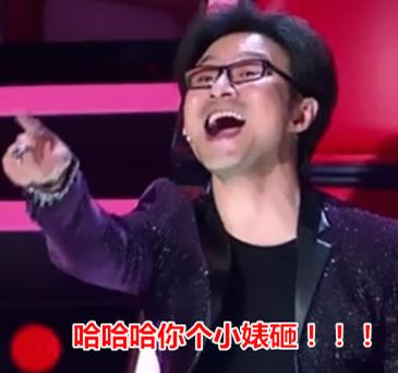 《中国好声音》汪峰豪华表情包上头条
