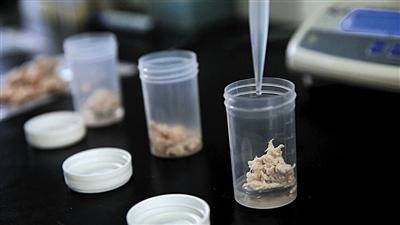 北京批发市场发现火碱泡制“美白猪蹄”