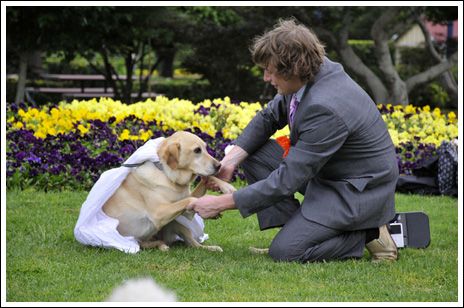女子与宠物狗结婚称系真爱 揭人与动物的奇特