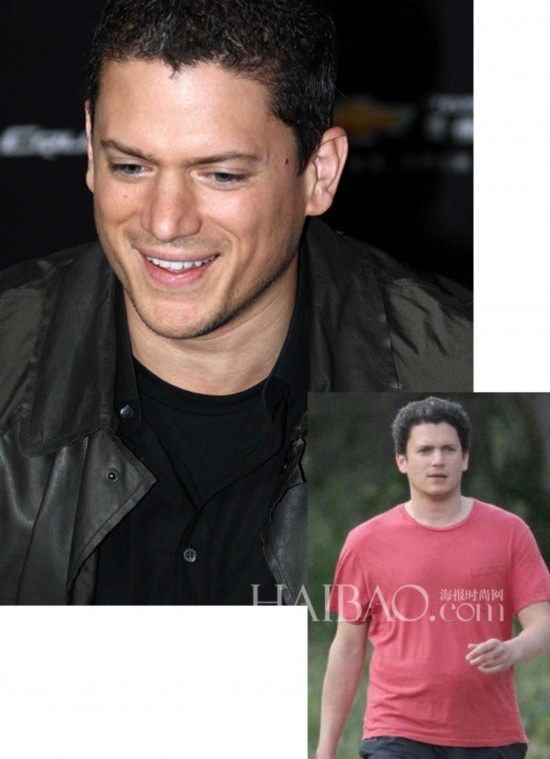 ˹ (Wentworth Miller) 