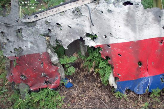 �����MH17δ�ּ������ϸ���������ⲿ�����ɻ�
