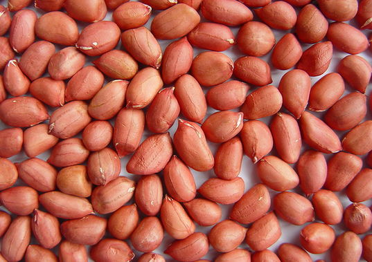 饮食养生：7类人别吃花生 吃花生2大注意