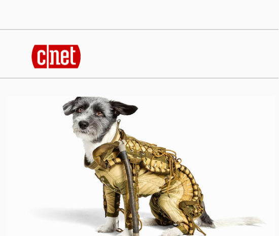 ǰƵС̫շ13