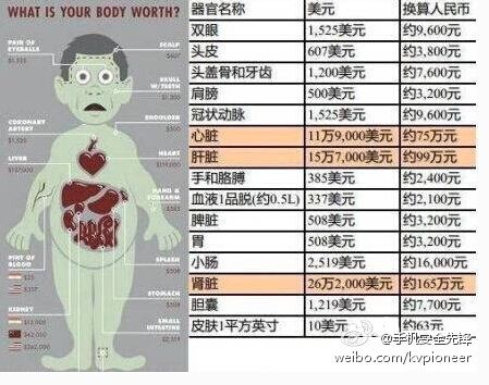 人体器官价位表走红 网友:用iPhone 20得陪葬(