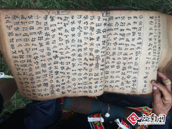 图片版权归原作者所有 图片版权归原作者所有