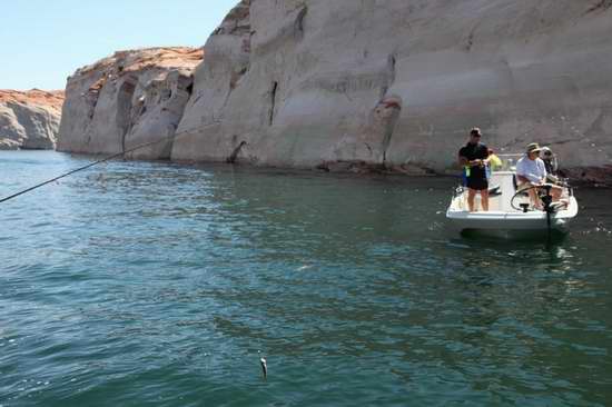 网友实拍开快艇在美国第二大水库钓鲈鱼【组图