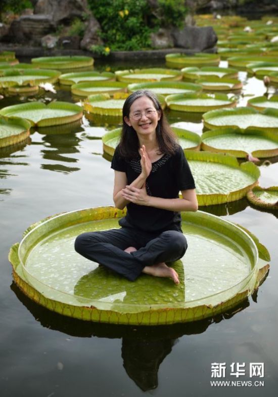 和大王莲一起奇妙漂浮