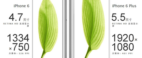 64��A8/�����q iPhone 6/Plus�G�I�ѪR 