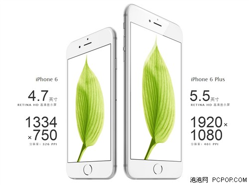 iPhone6/6 PlusʶRn 