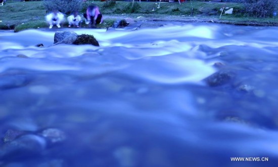 CHINA-LHASA-BATHING FESTIVAL (CN) 