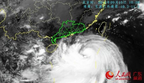 海鸥今晨已入南海直指雷州半岛 海面现13级