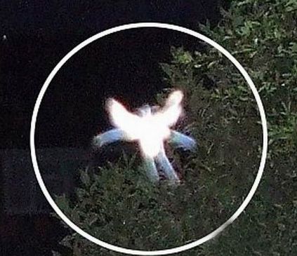 非洲26名女子熟睡中内裤丢失 惊悚恐怖灵异巫