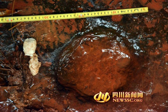 【6】高清图片