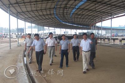 六安市委非公党建工作督查组到裕安督查指导非