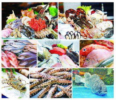 厦门海鲜批发市场_黄骅海鲜批发市场_京深海鲜市场(3)