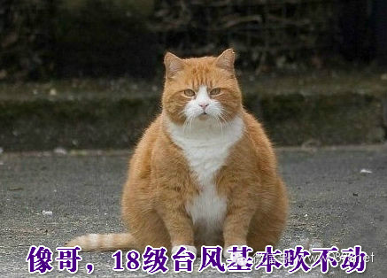 【微天下】爱她就带她去海口看海吧!王全安嫖